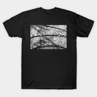 Crazy Smoke Drops T-Shirt